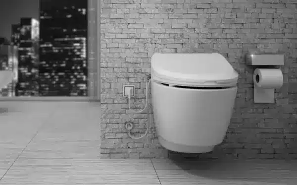 slow flushing toilet