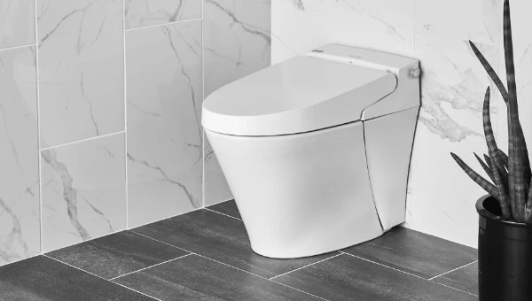 american standard toilets